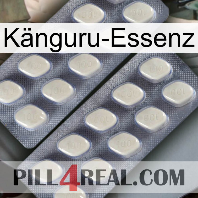 Känguru-Essenz 07